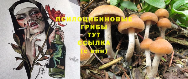 ПСИЛОЦИБИНОВЫЕ ГРИБЫ Володарск