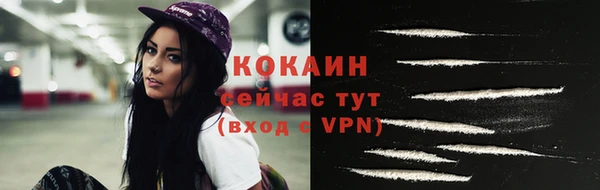 прущие грибы Верея