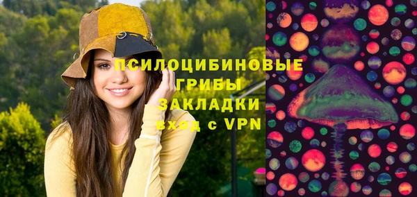 ПСИЛОЦИБИНОВЫЕ ГРИБЫ Володарск